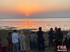 （走进中国乡村）“中国候鸟小镇”迎观鸟热潮